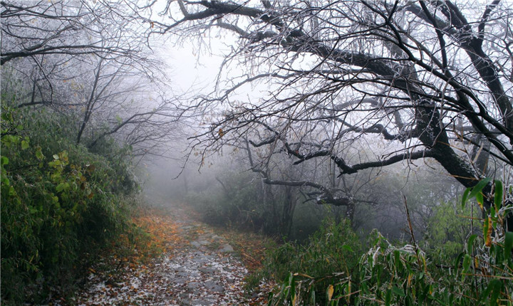 终南山秦楚古道步道